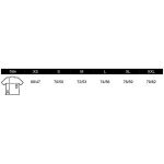 Men's polo shirt Sols Summer II white