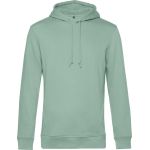 Mikina pánská s kapucí Inspire Hooded 01.U33B sage