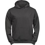Mikina dětská s kapucí Power Tee Jays TJ5102B dark grey