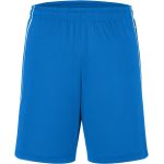 Kraťasy sportovní týmové Basic Daiber JN387 royal/white